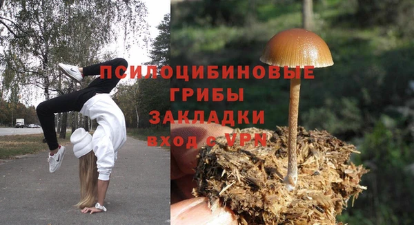мдпв Лихославль
