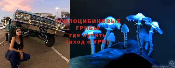 стаф Липки