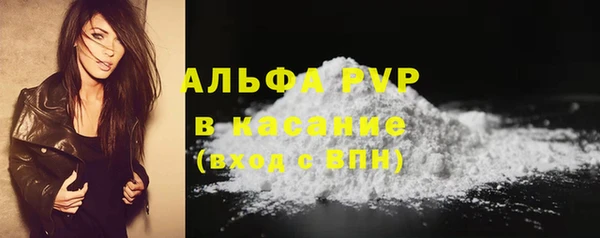 стаф Липки