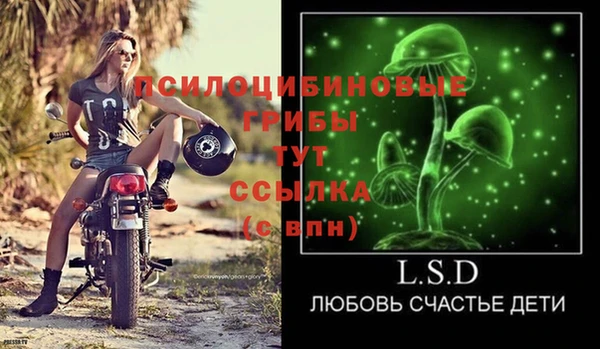 бошки Абинск