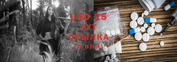стаф Липки