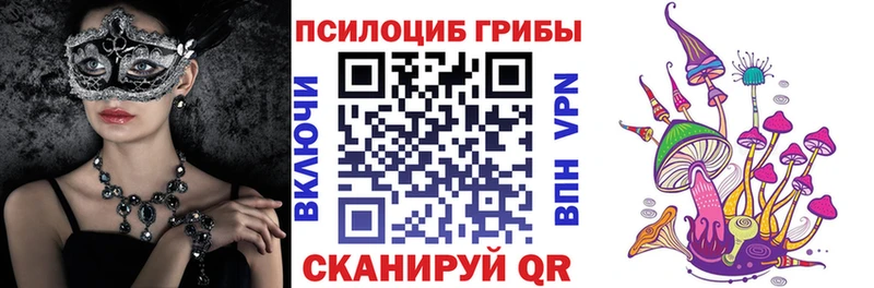 Псилоцибиновые грибы Psilocybine cubensis  где продают   Саратов 